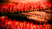 854x480