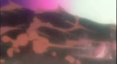 480x268
