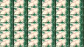 864x486