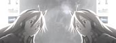 1600x600