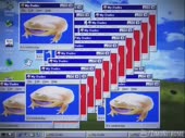 480x360