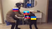 640x360