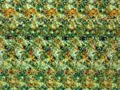 500x376
