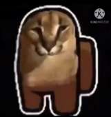 720x759