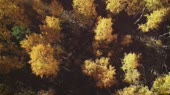 640x360