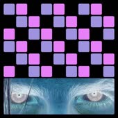 800x800