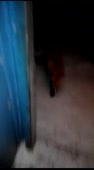 200x360