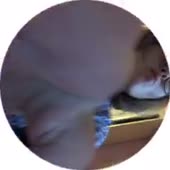 240x240