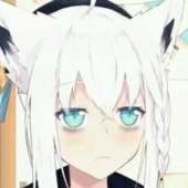 319x319