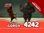 320x240