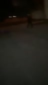 360x634