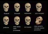 700x499