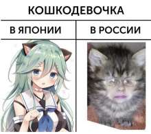 604x536