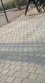 352x640