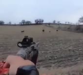 384x352