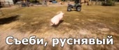 680x288