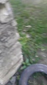 406x720