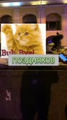 270x480