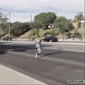 310x310