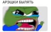 405x261