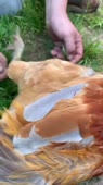 608x1080