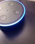 288x360