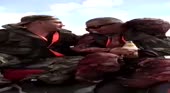 480x264
