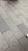 540x960