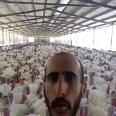 360x360