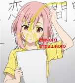 658x732