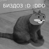 720x720