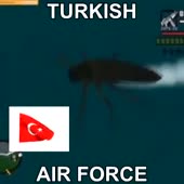 360x360