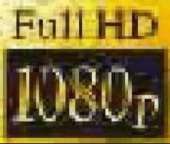 499x424