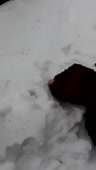 204x360