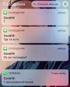491x604