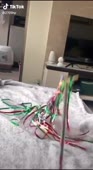464x848