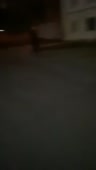 360x636