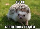647x475