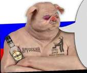 509x433