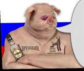 509x434