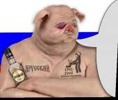 510x434