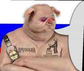 510x434
