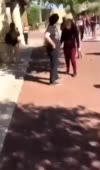 390x662