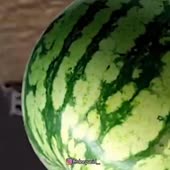 360x360