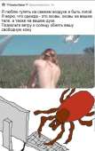 566x894