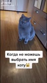 544x960