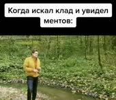 540x466