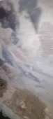 576x1280