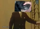 480x360
