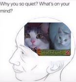 576x624